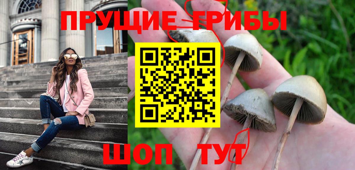 Псилоцибиновые грибы Psilocybine cubensis  Галлюциногенные грибы мухоморы  Вход с VPN  Коломна 