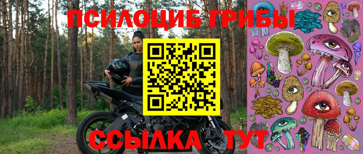 Галлюциногенные грибы GOLDEN TEACHER Коломна